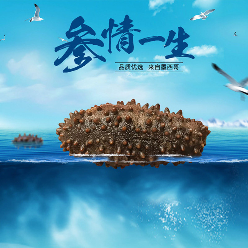 墨西哥a级深海野生梅花刺参海参腰参干货礼盒国内现货/美国直邮