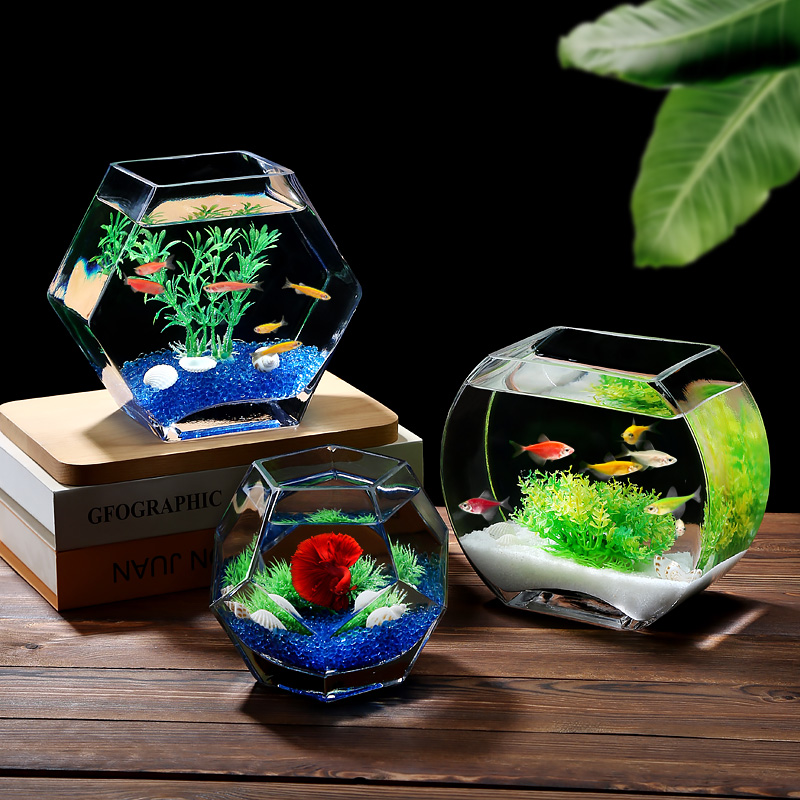 斗鱼缸玻璃家用客厅小型金鱼缸办公桌书桌观赏小鱼缸造景生态养鱼