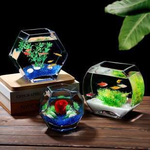 斗鱼缸玻璃家用客厅小型金鱼缸办公桌书桌观赏小鱼缸造景生态养鱼