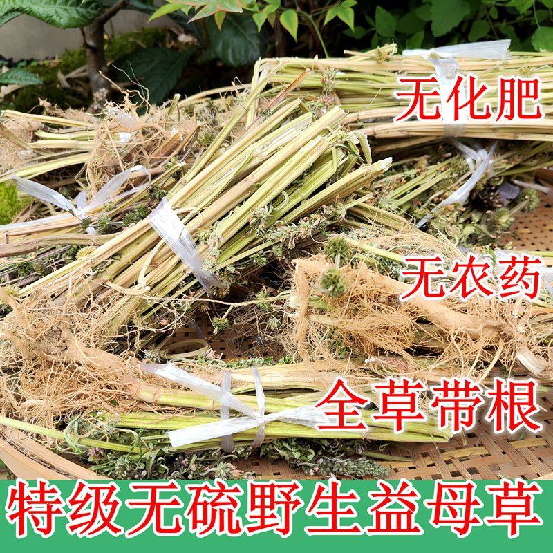 新品干货野生白花益母草500g包邮红糖姜茶调理姨妈催经泡益母草茶