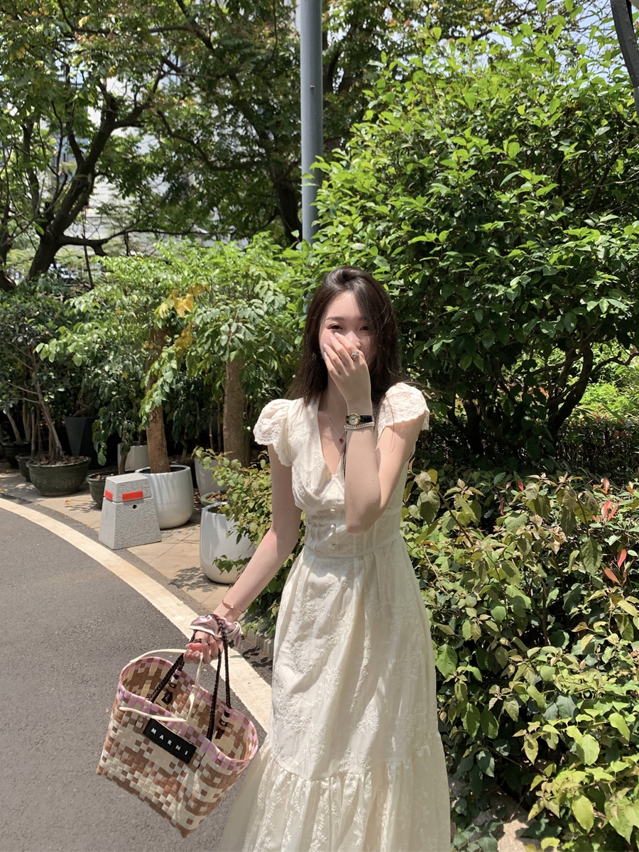 法式V领刺绣立体小飞袖连衣裙