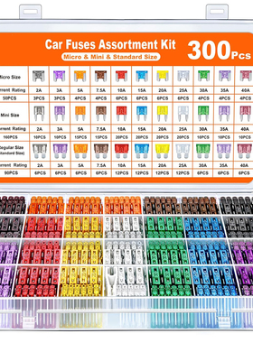 300个 2A-40A 锌片 中号小号迷你汽车插片式保险丝车用电路保险片