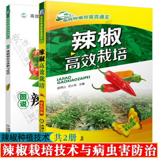 辣椒高效栽培+图说辣椒病虫害诊断与防治 辣椒棚室栽培设施设计建造技术 育苗技术 辣椒种植技术 辣椒种植书籍