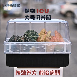 柳卜一·加高热植闷养箱大型花烛闷养盒带补光灯植物育苗箱小苗