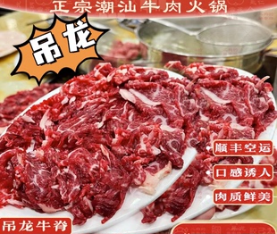 牛肉新鲜黄牛农家散养潮汕牛肉火锅吊龙125克X4份 有牛肉香味