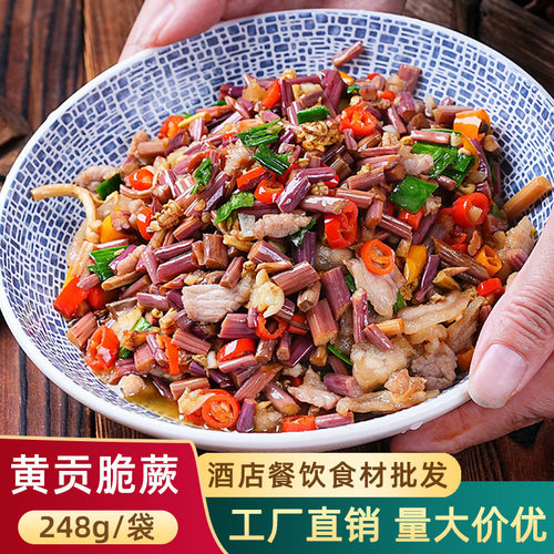 黄贡脆蕨香辣酸蕨菜凉拌素菜食材