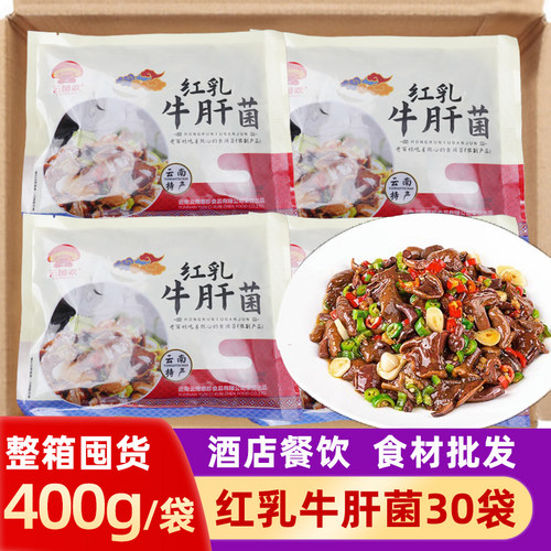 红乳牛肝菌蘑菇煲汤火锅餐饮食材
