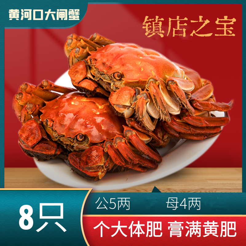东营黄河口大闸蟹5两公4两母礼盒特大鲜活螃蟹8只源头直达足斤足