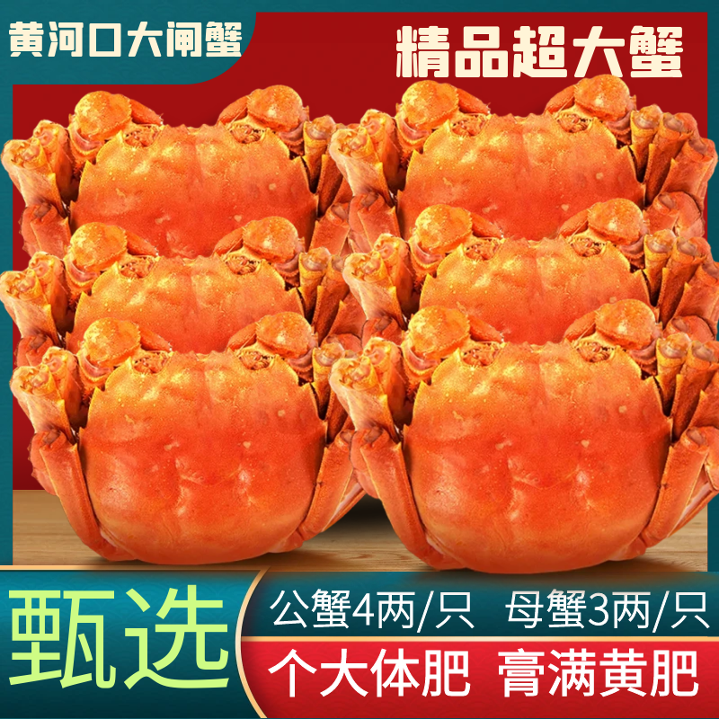黄河口大闸蟹鲜活大螃蟹礼盒4两公3两母源头直达死蟹包赔可发全母