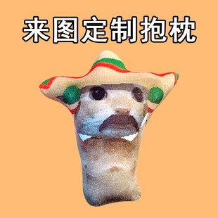 z阿米噶蒂朵喵公仔抽象低脂小猫表情毛绒玩偶定制搞怪哈基米抱枕