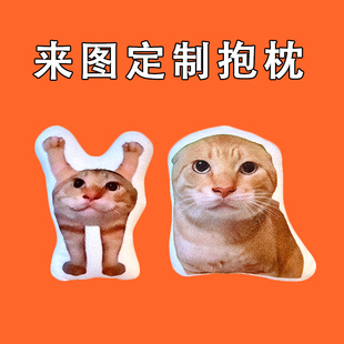 流浪猫圆头耄耋周边公仔橘猫宝宝表情包玩偶来图定制猫咪抱枕礼物