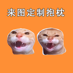 圆头猫爹公仔表情包哈气耄耋抽象玩偶来图定制沙雕猫咪周边抱枕女