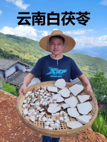 云南白茯苓无硫带皮茯块祛湿健脾