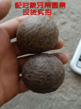 象牙果手球近似饱满配对特价原料