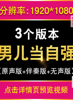 男儿当自强伴奏版 武术跆拳道功夫表演节目舞台LED大屏幕背景视频