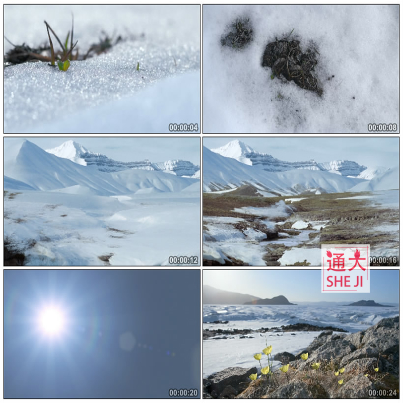 冰雪融化冬去春来春天大自然万物复苏花草树木发芽实拍视频素材