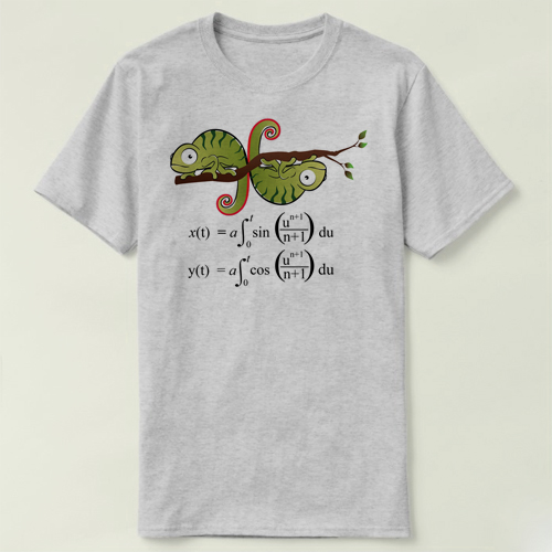 mathematics math maths 数学 Euler Spiral 半袖Tee T-Shirt T恤