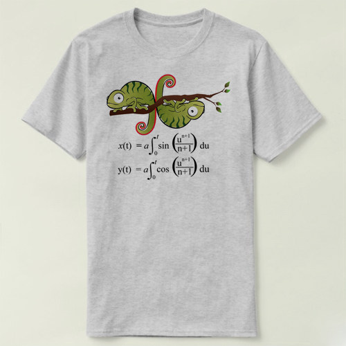 mathematicsT-ShirtSpiralTee男