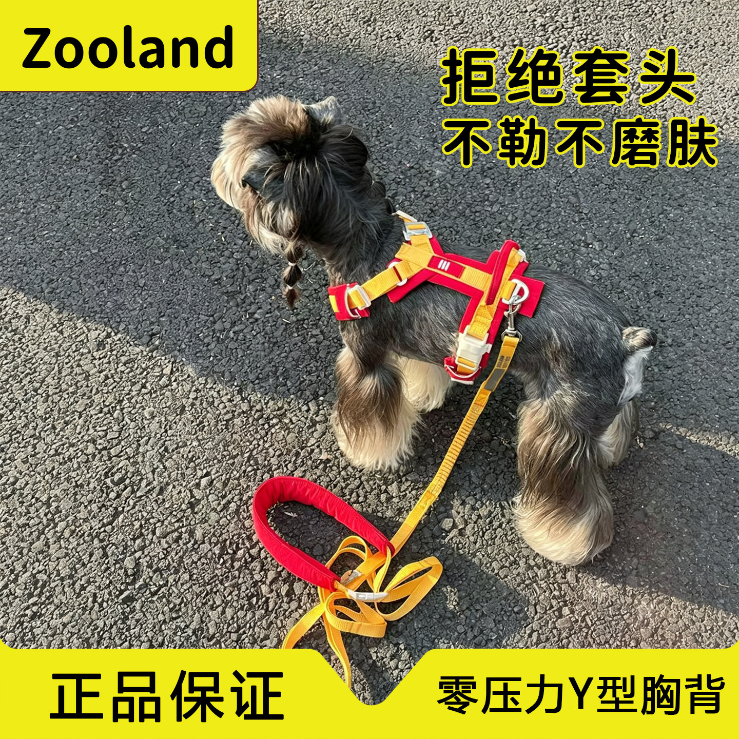 Zooland狗狗Y字型白山胸背不磨肤图片