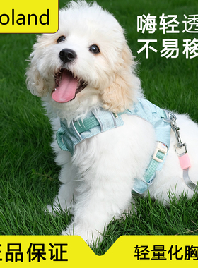 zooland狗狗胸背牵引绳轻薄透气中小型犬牵引绳拉夫平替小狗胸背