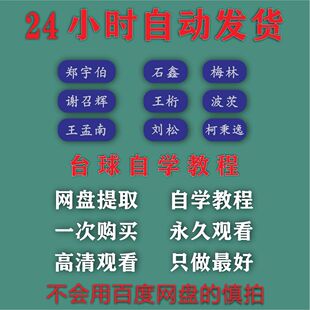 郑宇伯石鑫刘松台球教学教程零基础入门到精通专业实战高清视频