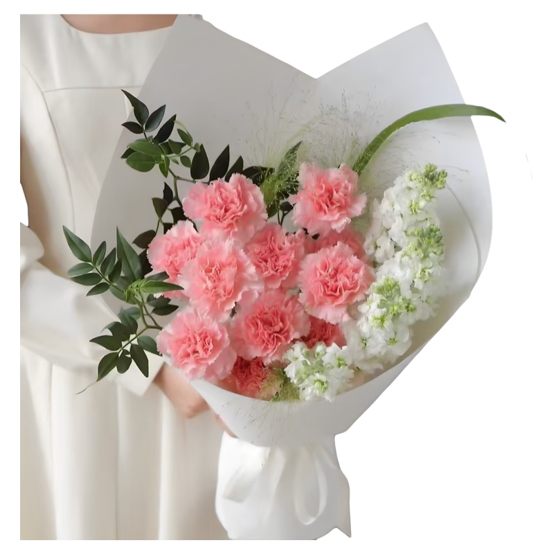 11朵粉色康乃馨混搭花束鲜花速递同城1小时送达母亲节礼物妈妈