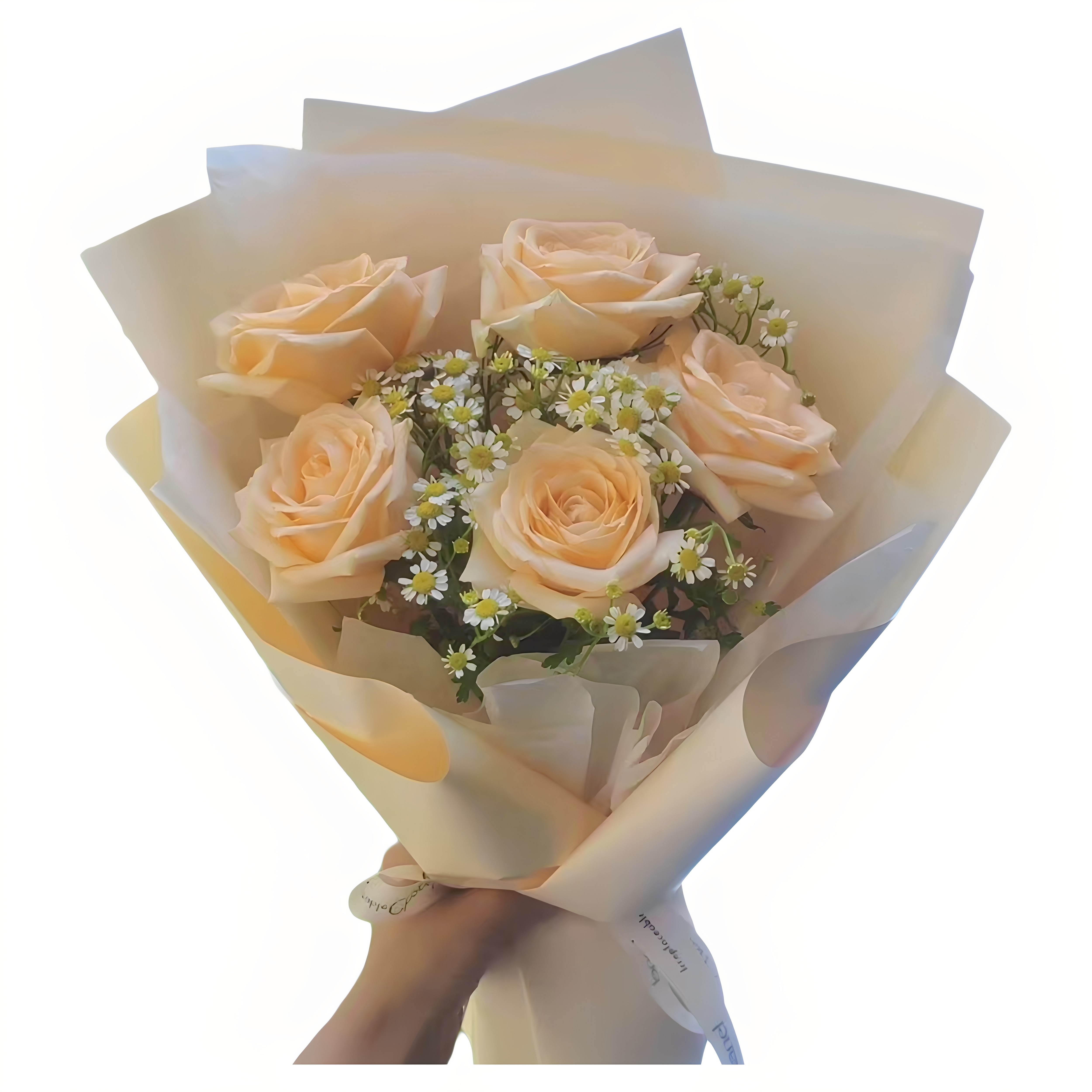 闺蜜女友生日9朵玫瑰鲜花束湖南韶山市耒阳常宁武冈临湘同城配送