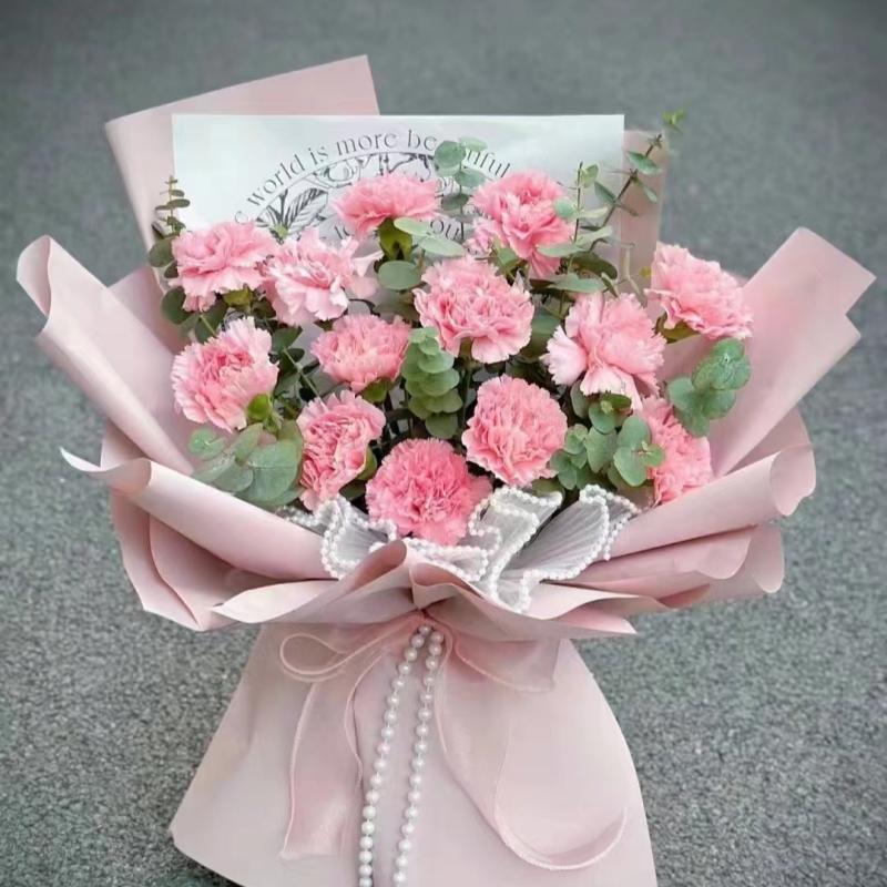 妈妈生日礼物19朵康乃馨鲜花束