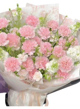 母亲生日33朵康乃馨鲜花通辽市鄂尔多斯呼伦贝尔巴彦淖尔同城配送