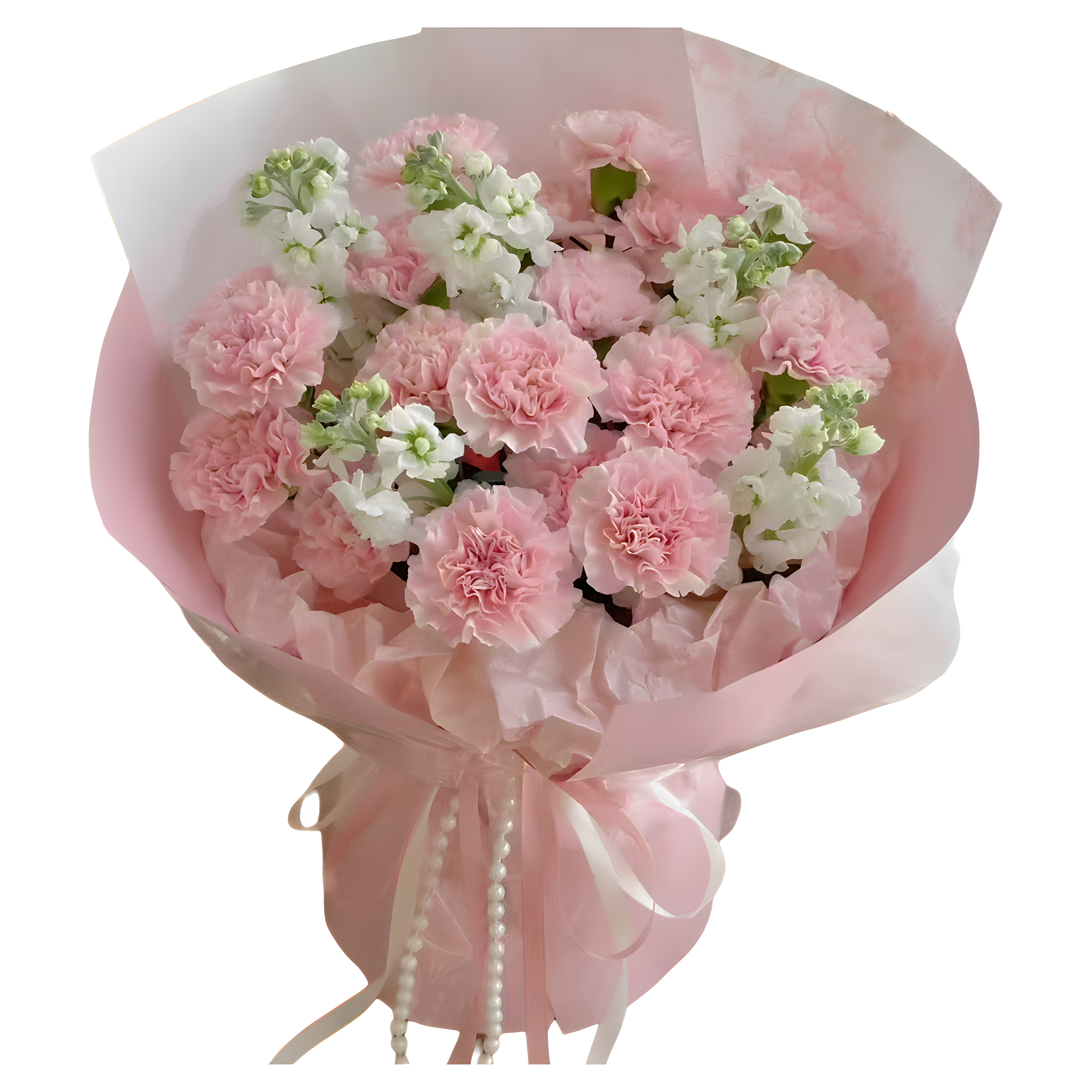 21朵康乃馨鲜花束辽宁新民瓦房店庄河普兰店东港凤城凌海同城配送