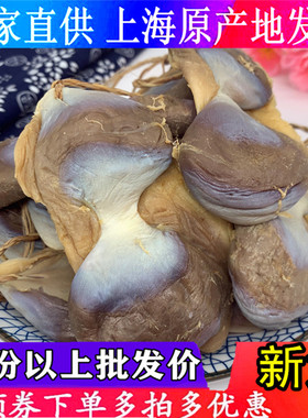 【百年老字号】上海特产鸭肫肝鸭胗干尝鲜优惠一串10只