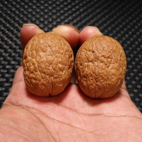 云南野生蛇皮球铁核桃 超压手40多g 皮质好油性大 文玩核桃卡肚35