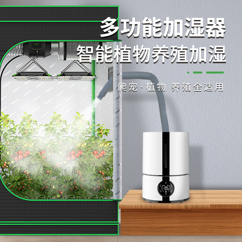 浩奇种植物加湿器账篷温室内陆龟蜥蜴爬宠物行动物变色龙箱带软管