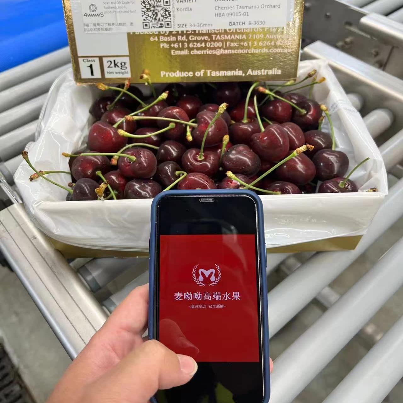 塔斯马尼亚2kg澳洲直采澳洲樱桃