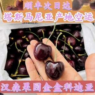 澳大利亚塔斯马尼亚汉森科迪亚3j4J车厘子kordia孕妇新鲜樱桃水果