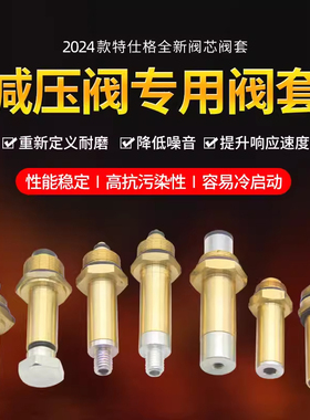 油改气配件CNG/LPG汽车天燃气减压器阀芯阀套液化气改装配件通用