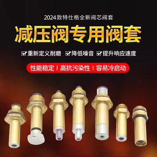 油改气配件CNG/LPG汽车天燃气减压器阀芯阀套液化气改装配件通用