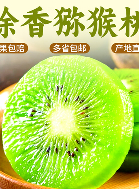 江山徐香弥猕猴桃新鲜当季水果绿心奇异果礼盒装包邮