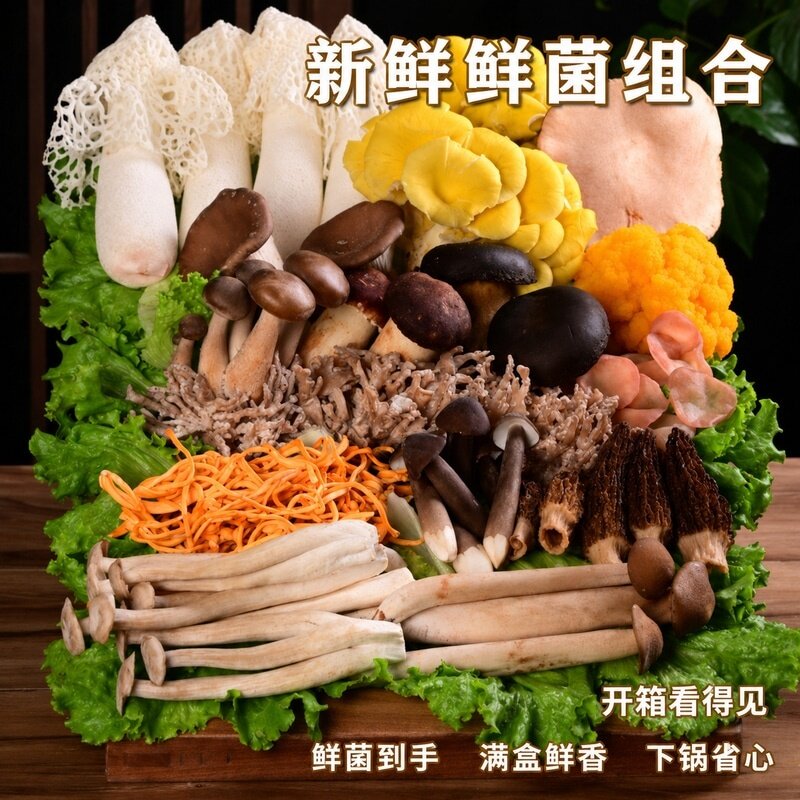 云南特产野生菌子新鲜菌菇组合火干货组合/料包/汤包