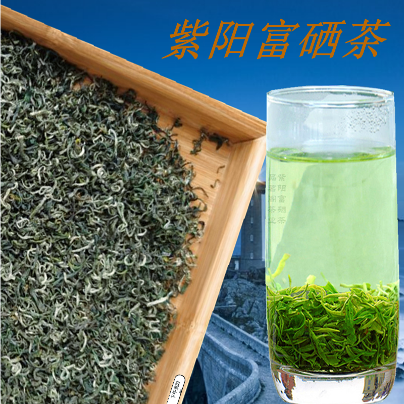 2024新茶紫阳毛尖紫阳茶绿茶 茶叶明前翠峰散装茶250克包邮