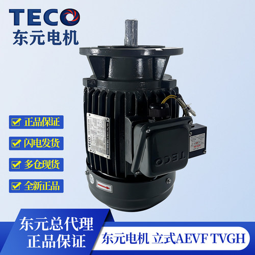 东元电机TECO刹车马达三相