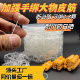 手绑颗粒皮筋圈大物手捆加强透明白色耐小药高弹青草鱼不档口巨物