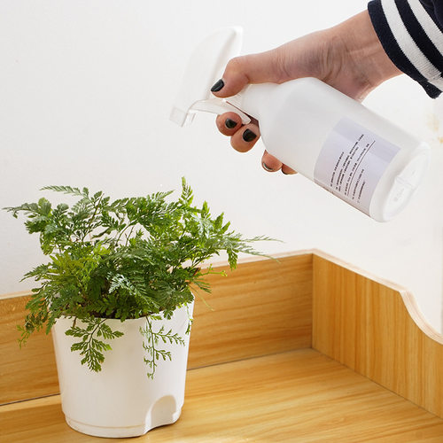 日式简约消毒液小喷壶酒精喷雾瓶家用洒水壶清洁园艺专用浇花喷瓶
