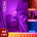 led氛圍感小夜燈紫色浪漫情調(diào)燈房間床頭氛圍燈高級(jí)感臥室氣氛燈