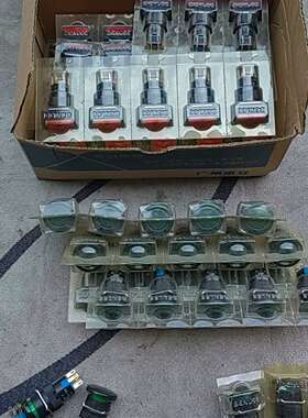 可维修本立BENLEE带灯按钮 B16-RA25-822-224