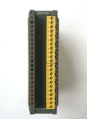 可维修87: 数字量输入模块，DEP-218/AS-BDEP-21