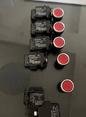 可维修天逸TAYEE按钮开关带灯自复式圆钮 LA42PD