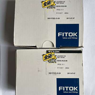 可维修德国原装进口全新FITOK飞托克 BVSS-ML8-06