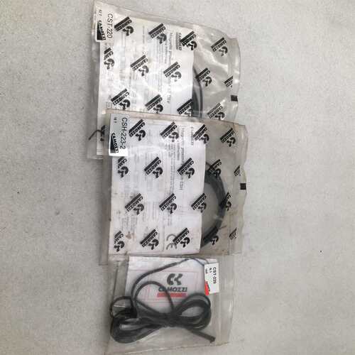 可维修康茂胜 CAMOZZI 磁性开关CST-220 CSH-22议价
