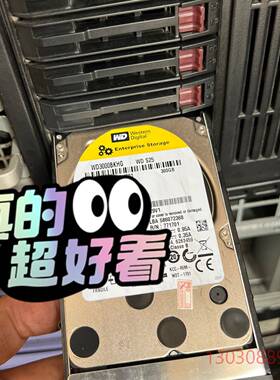 可维修中兴R8200 ZXF20 原装 西部数据/WD 300G